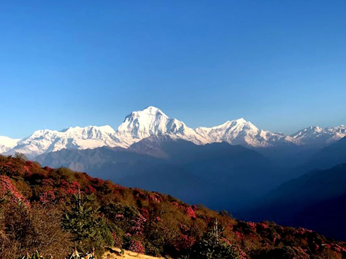 Dhaulagiri Circuit Trek - 18 Days