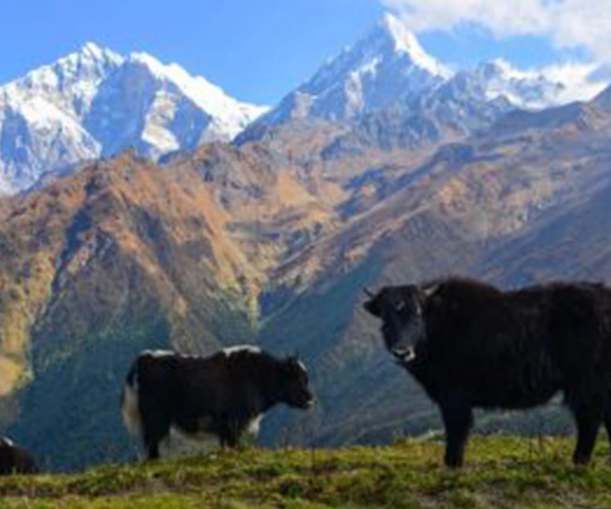 Khopra Ridge and Khair Lake Trek- 11 Days