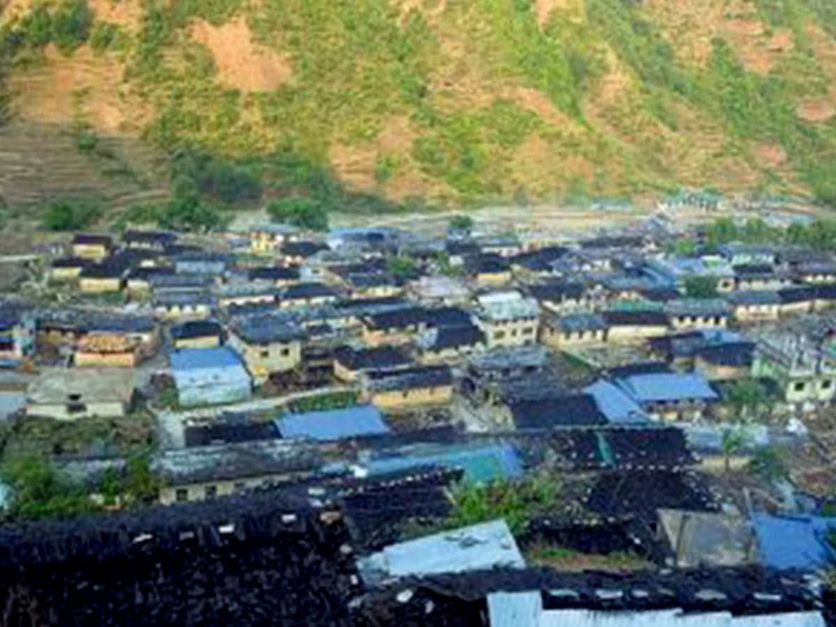 Gorilla Trekking in Nepal