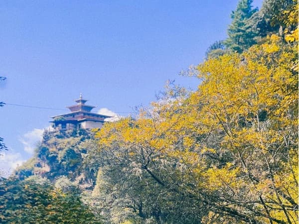 395754685 376395848058051 4390479219606840339 N