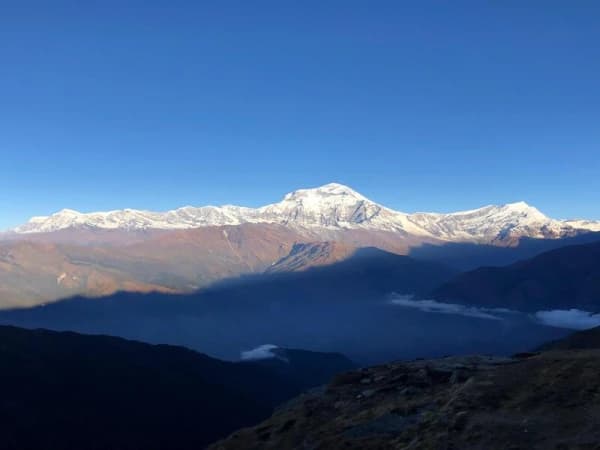 Ca1ecb7b D704 43c4 B9b7 88c159ad