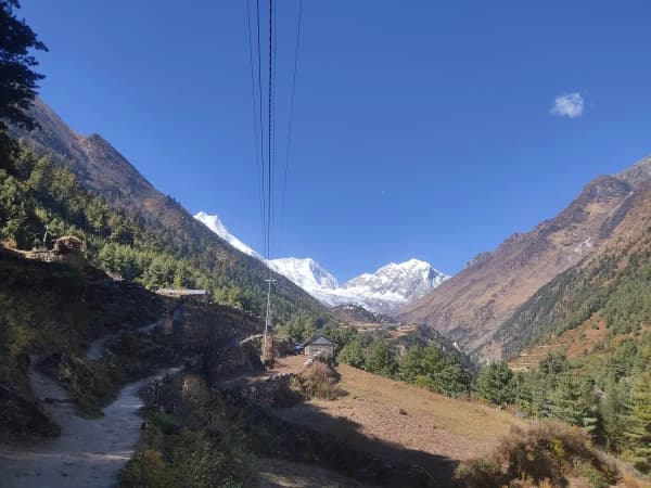 D6a66787 274a 4805 8725 7d97a726ff86