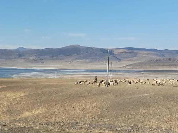Lake Mansarovar Tour