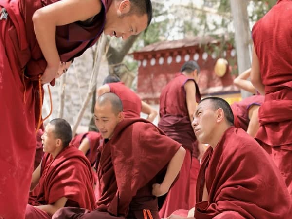 Lama In Debate
