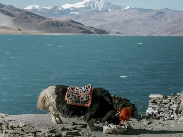 Lhasa Lake Tour From Ktm