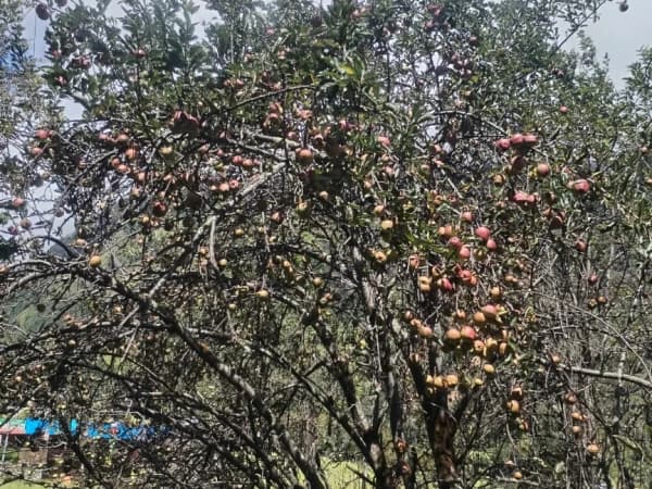 Manaslu Circuit Trek Price 1