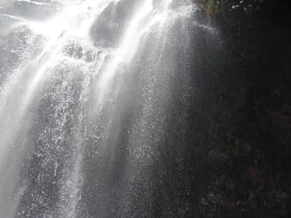 Manaslu Circuit Trek Price