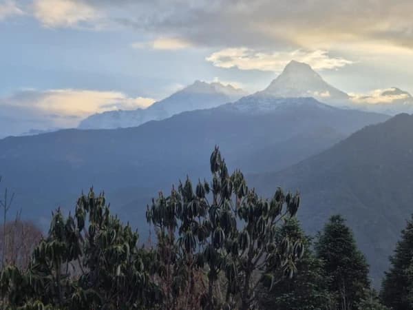 Whatsapp Image 2025 05 14 At 1.53.32 pm