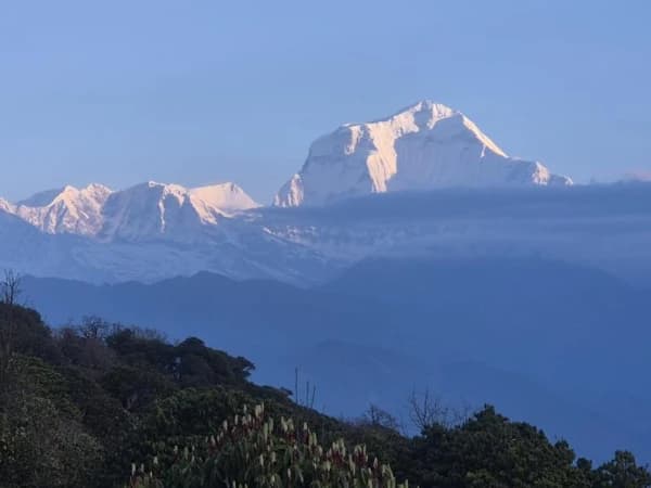 Whatsapp Image 2025 05 14 At 1.53.33 pm