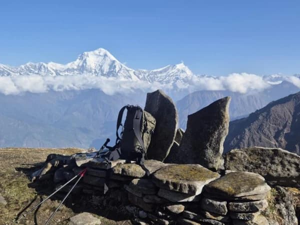 Whatsapp Image 2025 05 14 At 1.53.35 pm