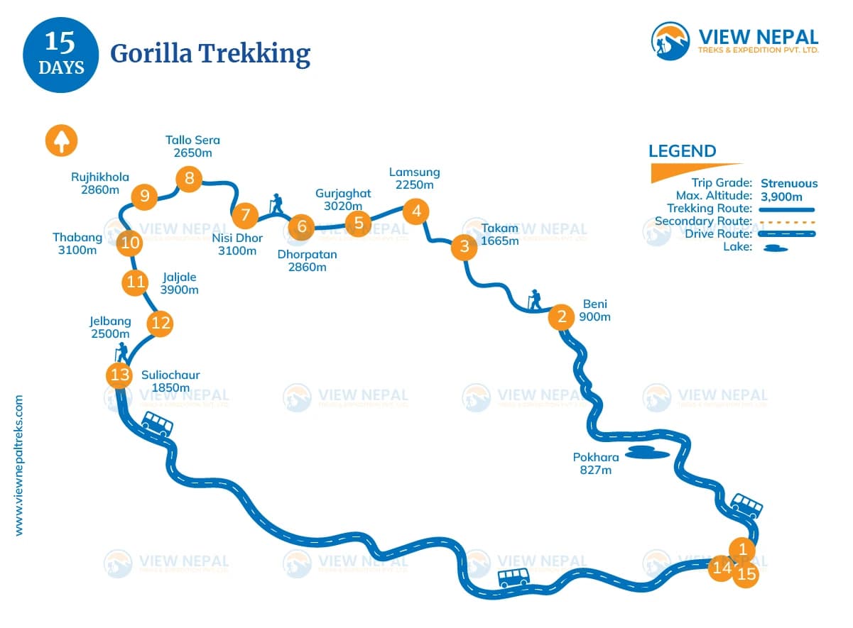 Gorilla Trekking - 15 Days